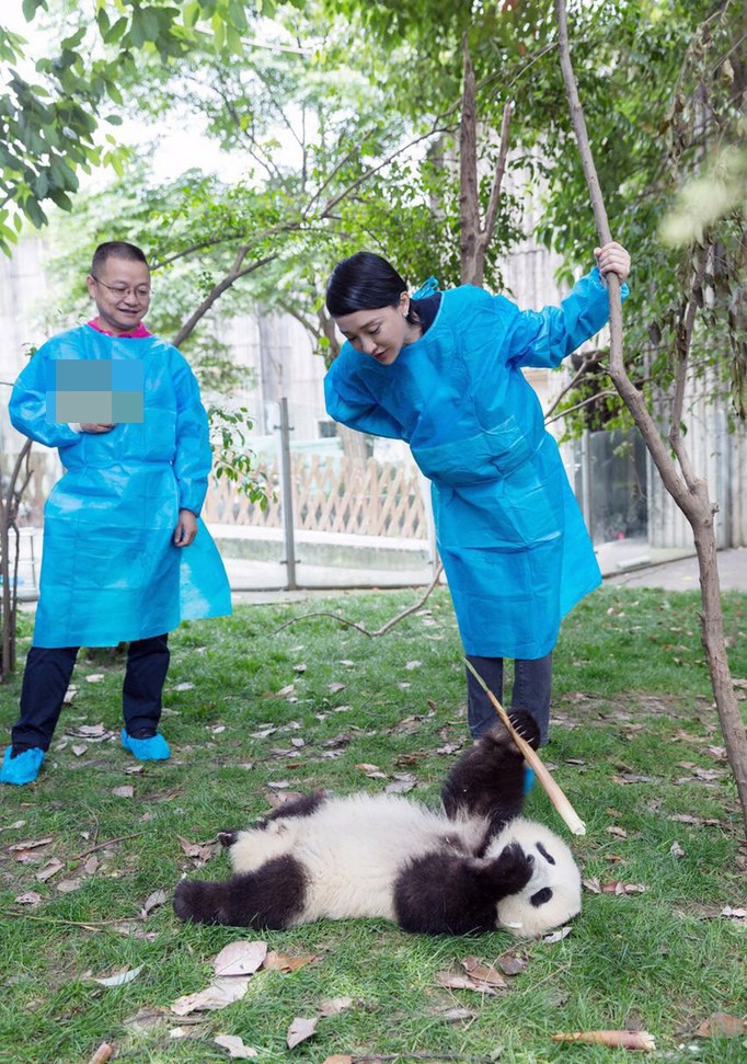光影与绒球间的温暖相遇周迅携手熊猫幼仔共叙公益情缘